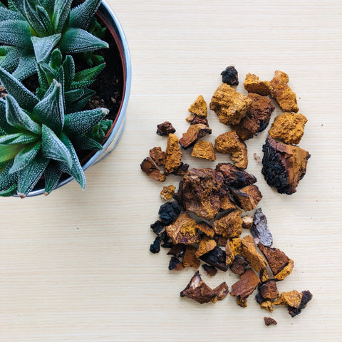 Chaga Chunks