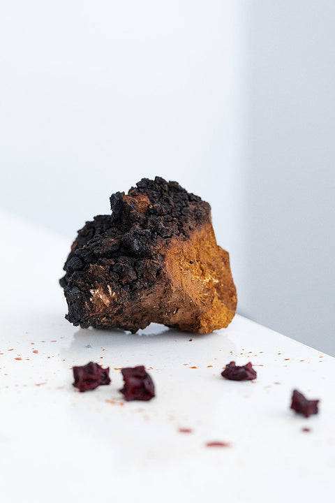 Chaga Chunks